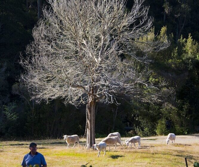 Tyenna River Cottage