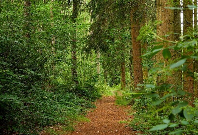 Tannmühle Hotel Und Restaurant Gmbh