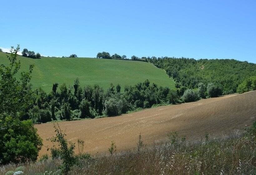 Apartment In Restored Farmhouse, Beautiful Views Over The Hills And Pool