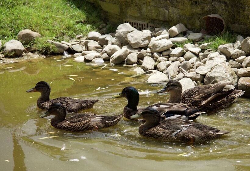 Detached House For 4 People With Stunning Views Of Estate