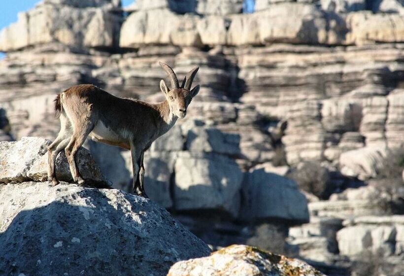 Detached Rural And Rustic House With A Private Swimming Pool