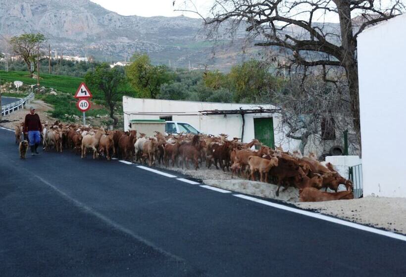 Detached Rural And Rustic House With A Private Swimming Pool