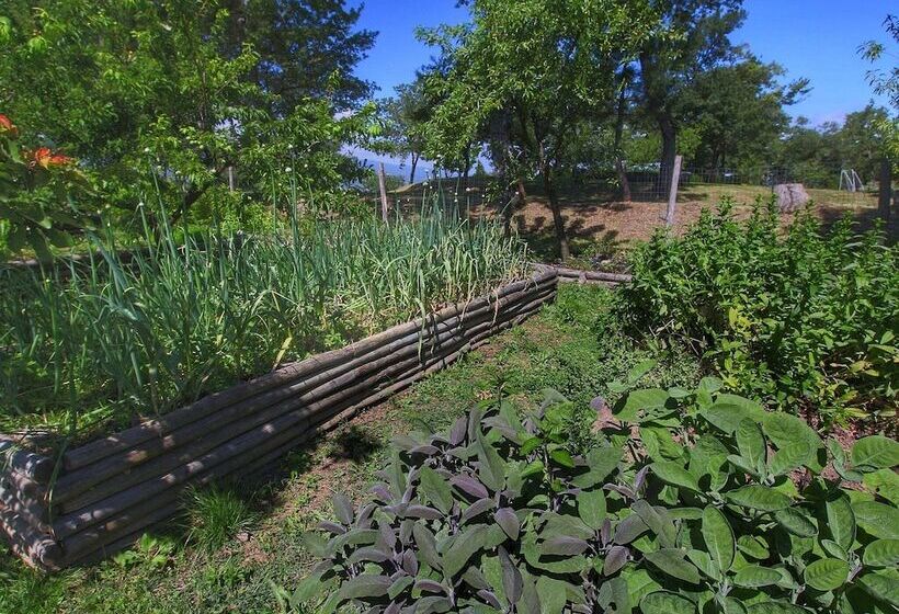 Detached Villa For 6 Pers. With Outdoor Swimming Pool