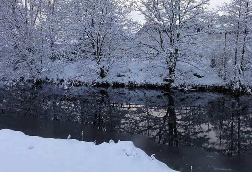 Lovely Cottage In Garden Grounds Near Centre