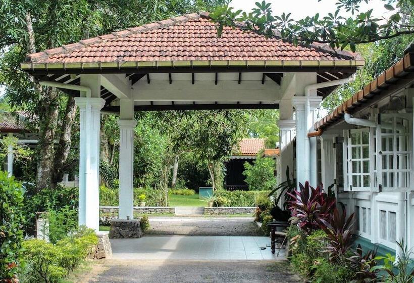 펜션 Plantation Villa