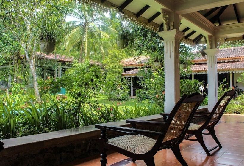 펜션 Plantation Villa