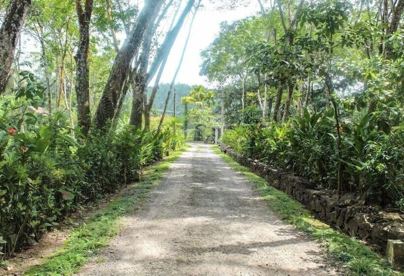 펜션 Plantation Villa