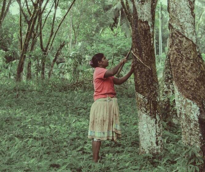 펜션 Plantation Villa