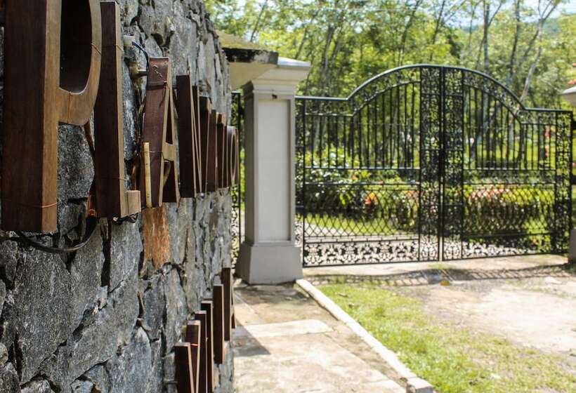 펜션 Plantation Villa