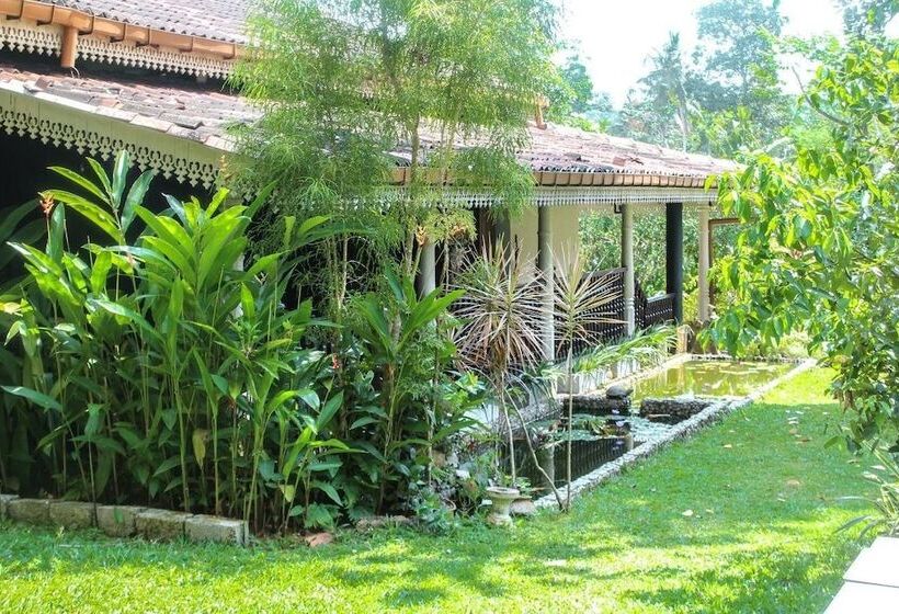 펜션 Plantation Villa