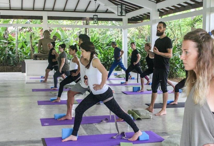 펜션 Plantation Villa