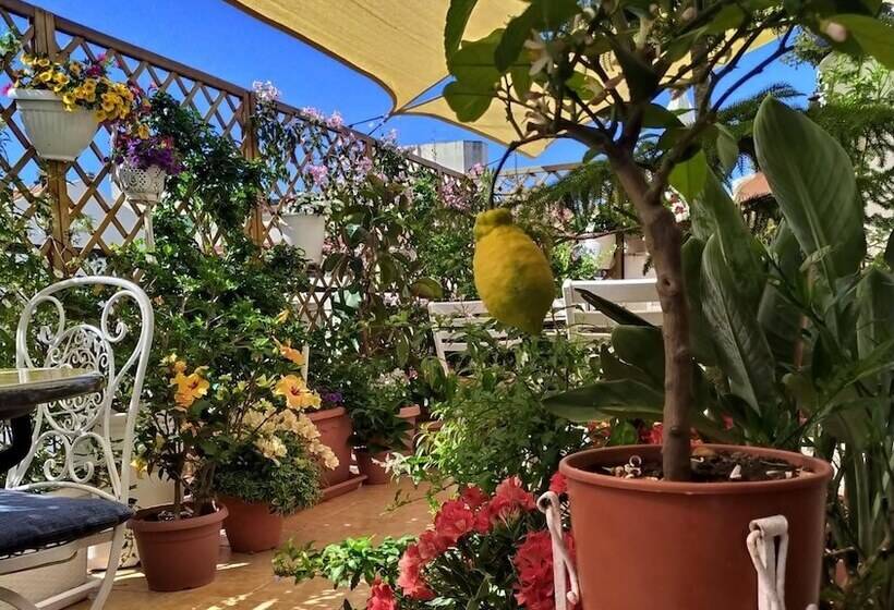 ベッドアンドブレックファースト Alghero Roof Garden