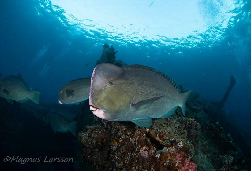 צימר Bali Dive Resort Amed