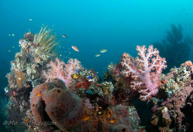 צימר Bali Dive Resort Amed