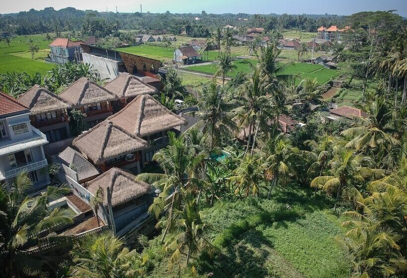 Bed and Breakfast Ila Kitchen & Villa