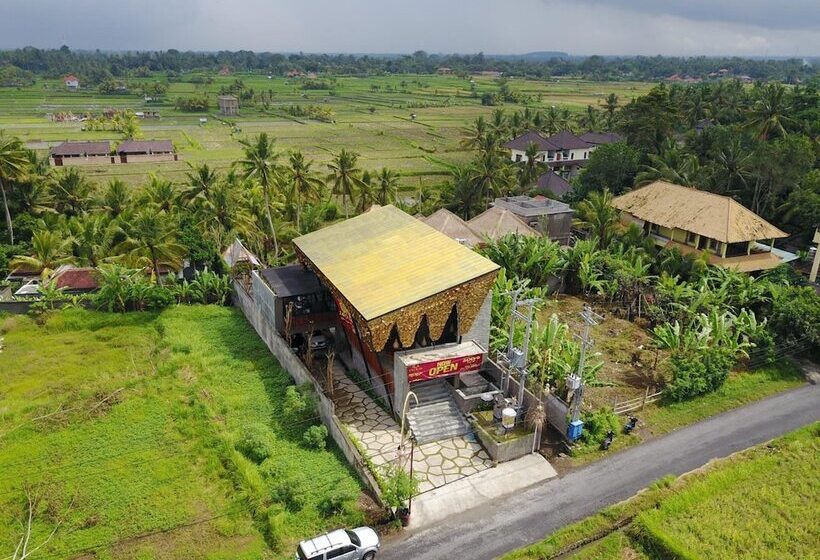 Bed and Breakfast Ila Kitchen & Villa