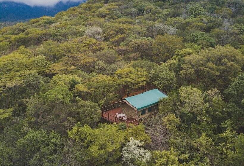 호텔 Amafu Forest Lodge