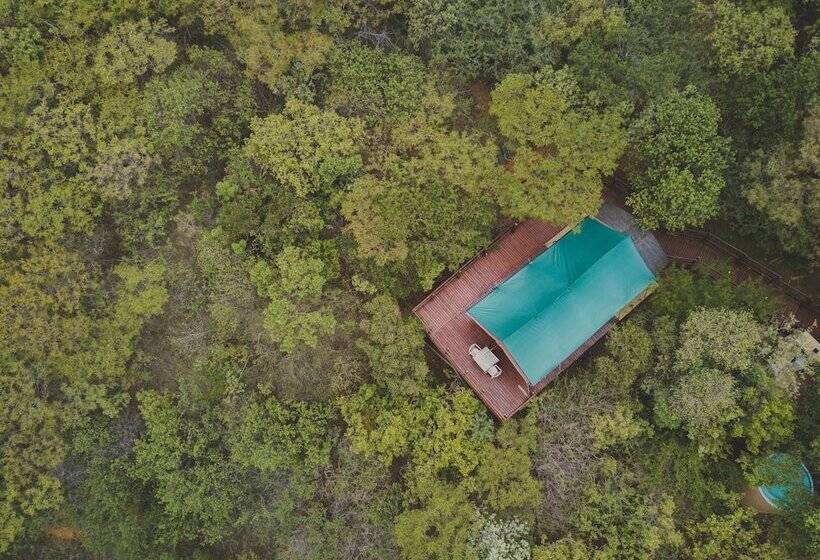 호텔 Amafu Forest Lodge