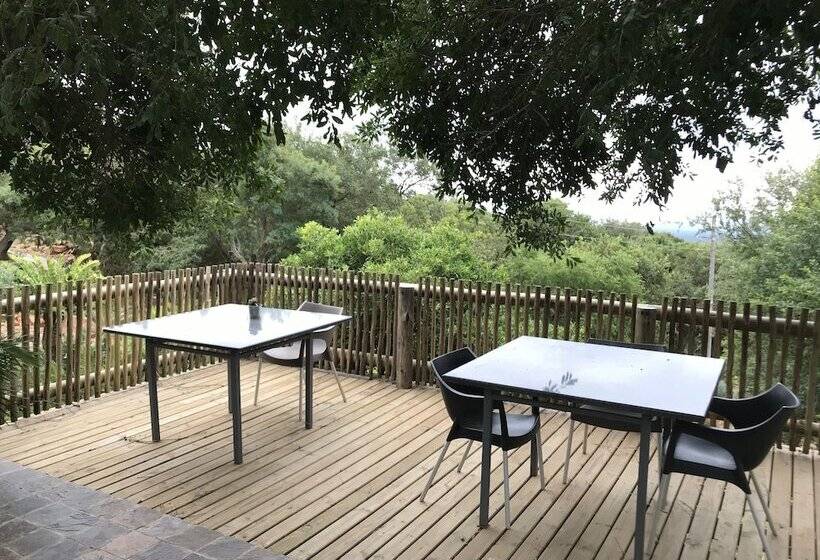 호텔 Amafu Forest Lodge