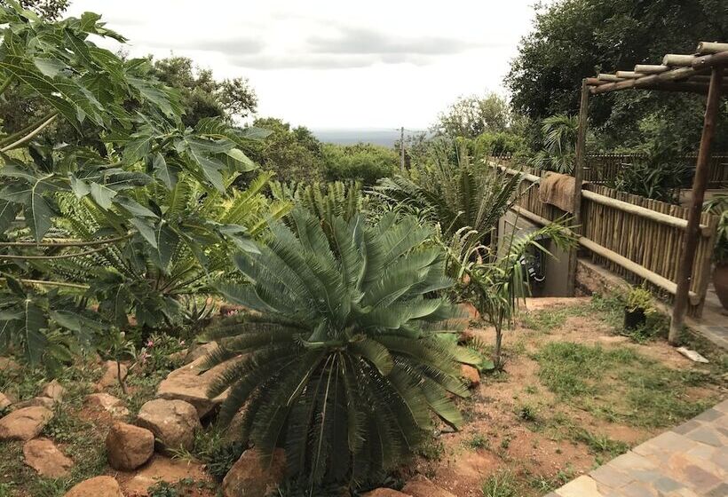 호텔 Amafu Forest Lodge