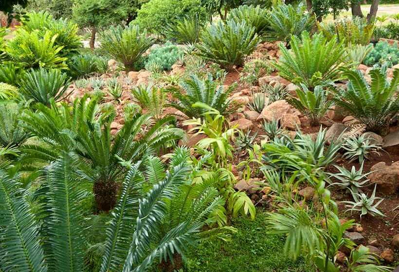 호텔 Amafu Forest Lodge