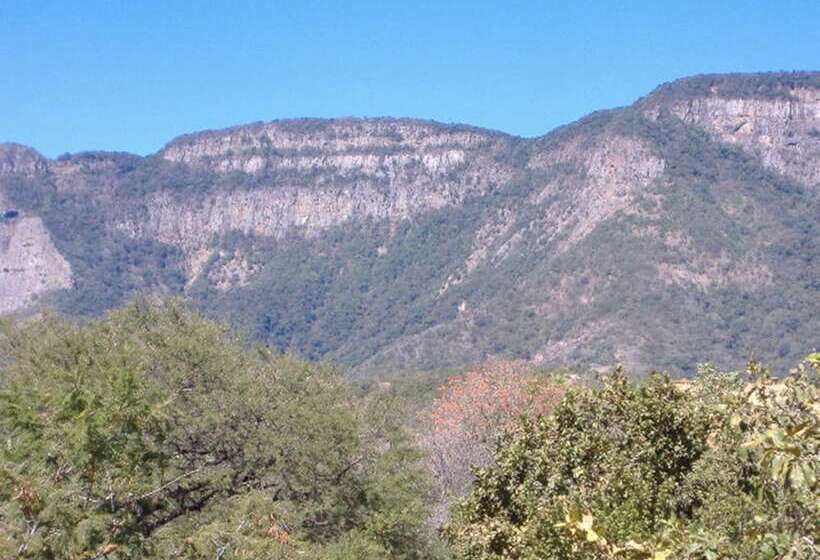 호텔 Amafu Forest Lodge