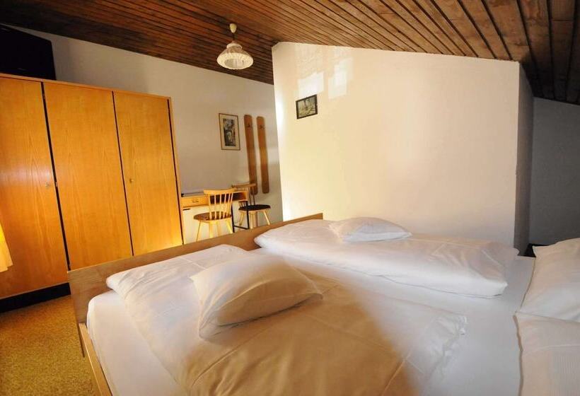 Отель Ciasa Soreghina