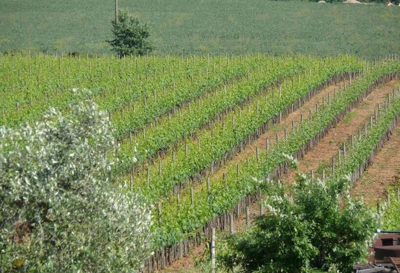 בית מלון כפרי Agriturismo La Quercia