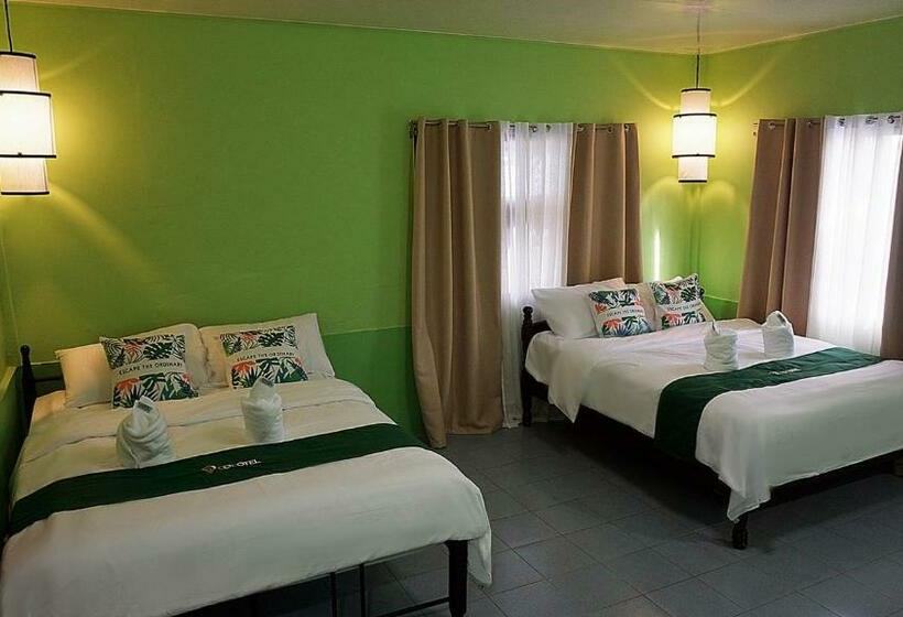 Mwr Pension House By Cocotel