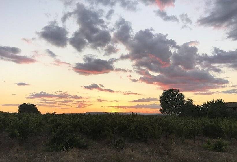 Пансион Chambres D Hôtes Et Gîtes Le Mas Mellou