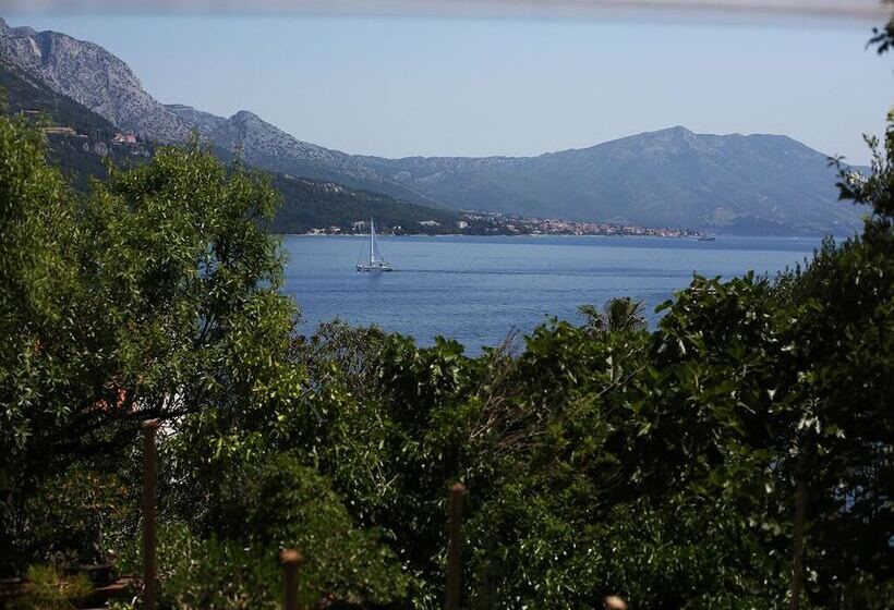 펜션 Guest House Palm Street