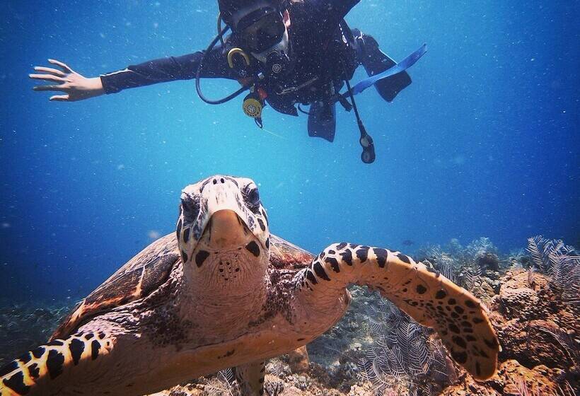אתר נופש Sahera