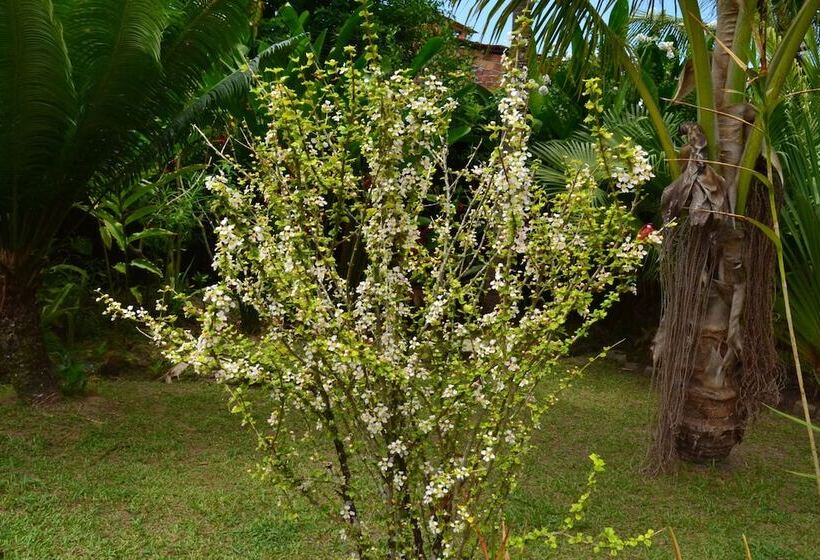 אתר נופש Village Do Dendê Chalés