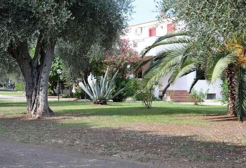 リゾートホテル Villaggio Camping Parco Degli Ulivi