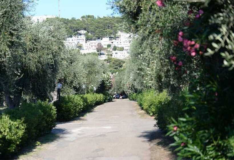リゾートホテル Villaggio Camping Parco Degli Ulivi
