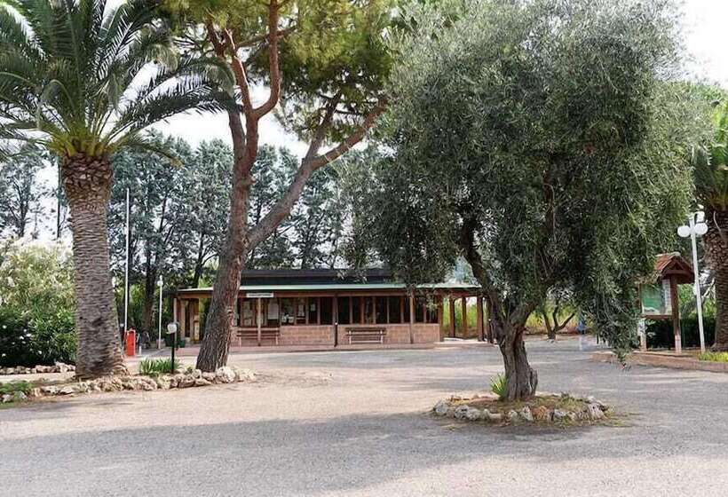 リゾートホテル Villaggio Camping Parco Degli Ulivi