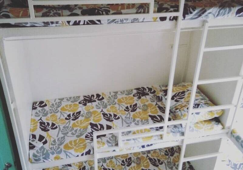 Bee Force Backpackers   Hostel