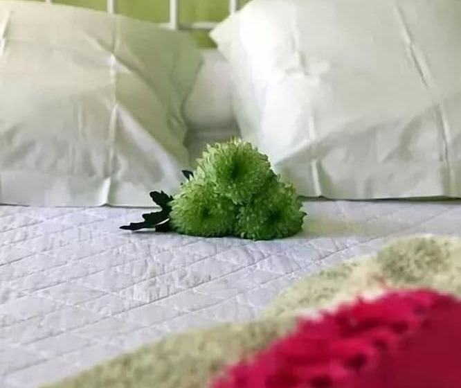 Bed and Breakfast Domaine Du Siestou Wine Resort & Spa