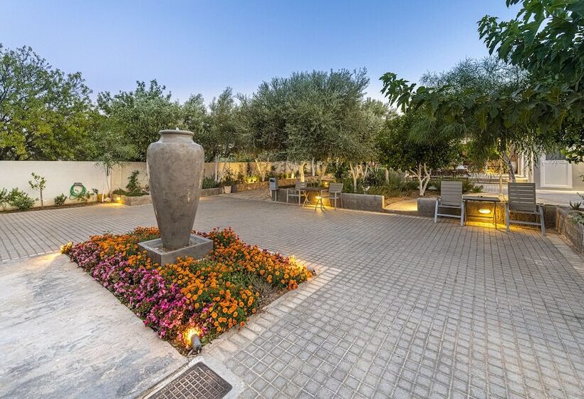 Comfort Stay Airport Studios   Free Shuttle From The Athens Airport