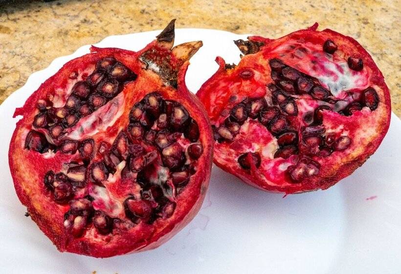 Comfort Stay Airport Studios   Free Shuttle From The Athens Airport