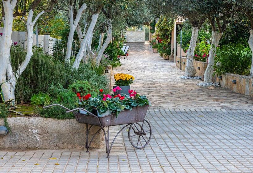 Comfort Stay Airport Studios   Free Shuttle From The Athens Airport