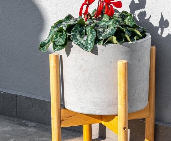 Comfort Stay Airport Studios   Free Shuttle From The Athens Airport