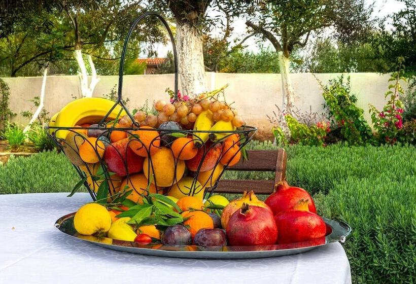 Comfort Stay Airport Studios   Free Shuttle From The Athens Airport