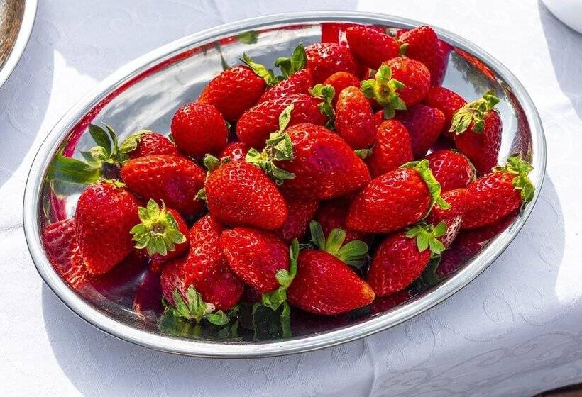 Comfort Stay Airport Studios   Free Shuttle From The Athens Airport