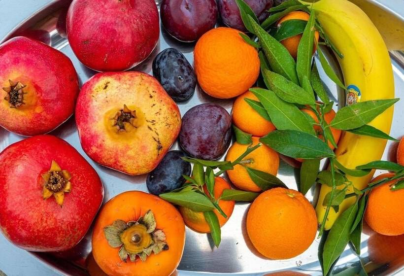 Comfort Stay Airport Studios   Free Shuttle From The Athens Airport