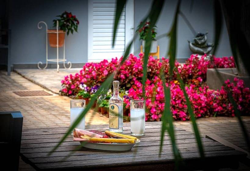 Comfort Stay Airport Studios   Free Shuttle From The Athens Airport