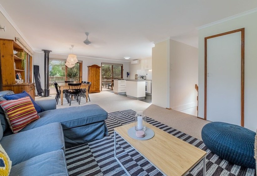 Florida Trees  Free Wifi Surf Side