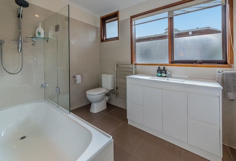 Florida Trees  Free Wifi Surf Side