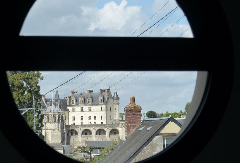 Gîte 9 Pers Centre Ville Jardin Et Parking Clos, Superbe Vue