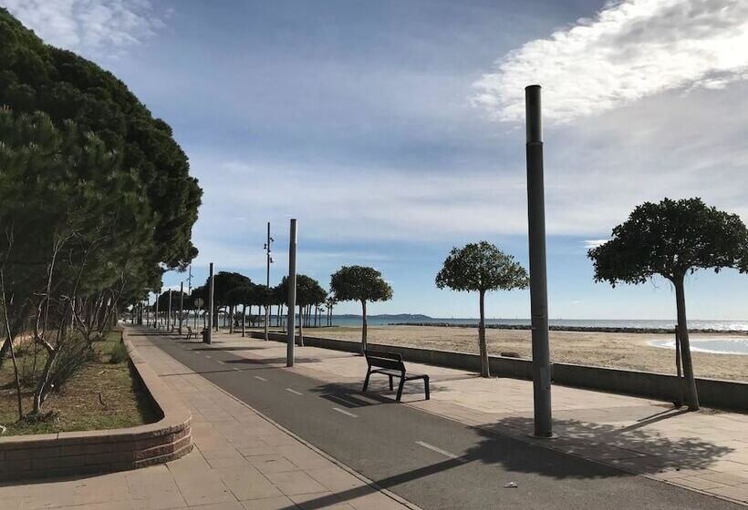 酒店 Apartamento Miramar Vistas Frontales Mar   124b